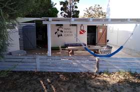 Explore Paros Diving Center: Your Gateway to the Underwater Beauty of Paros