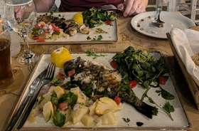 Fotis Greek Cuisine: A Culinary Gem in Naxos