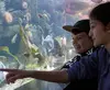 Øresund Aquarium, Sealand Coast