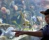 Øresund Aquarium