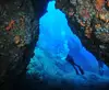 Blue Fin Divers