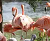 Copenhagen Zoo