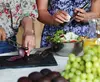 Naxos Activities