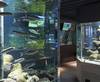 Øresund Aquarium