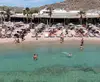 Tropicana