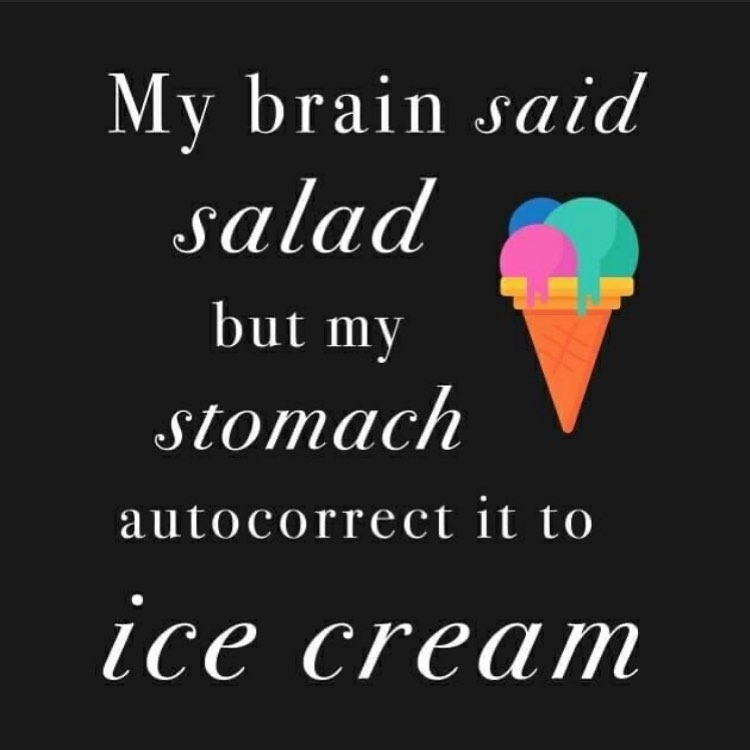 SOLO GELATO