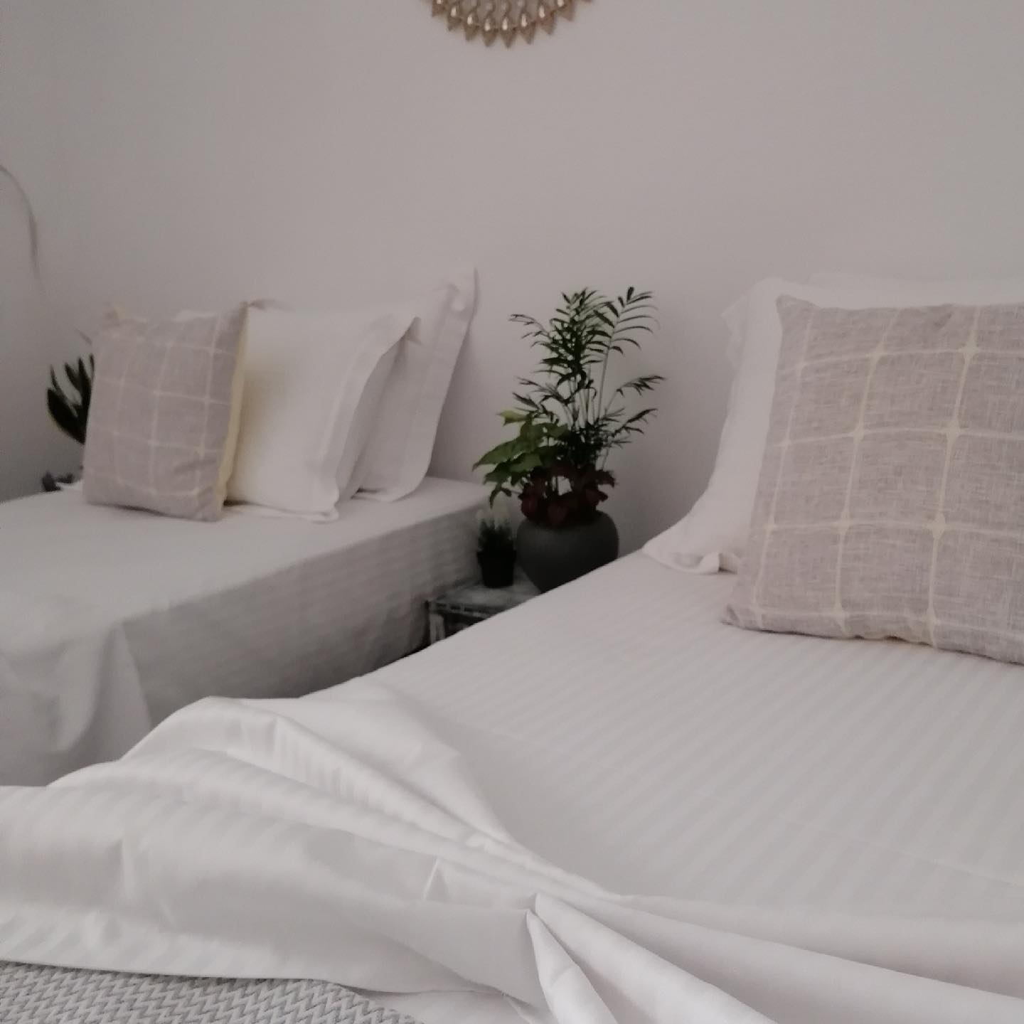 AURA APARTMENTS