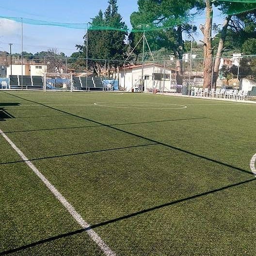 SKIATHOS FOOTBALL CLUB