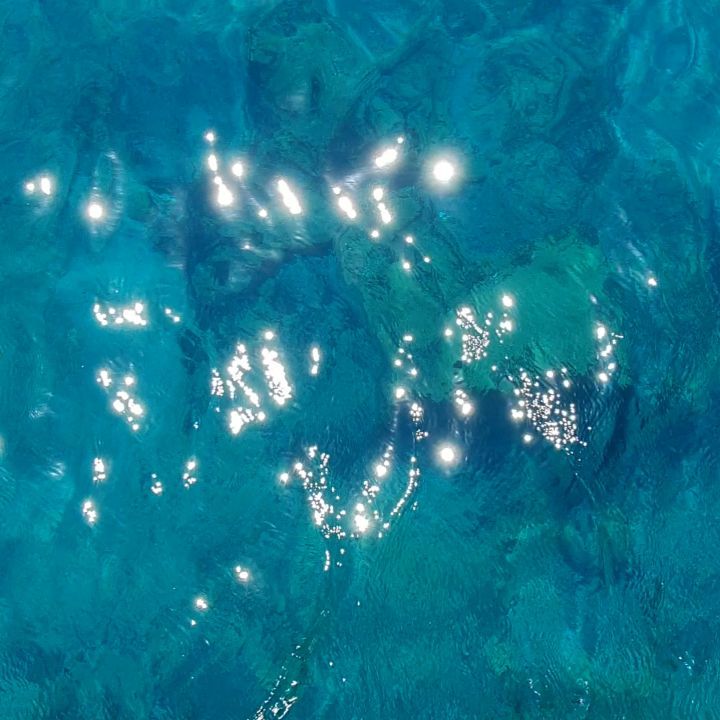 ANEMOMYLOS