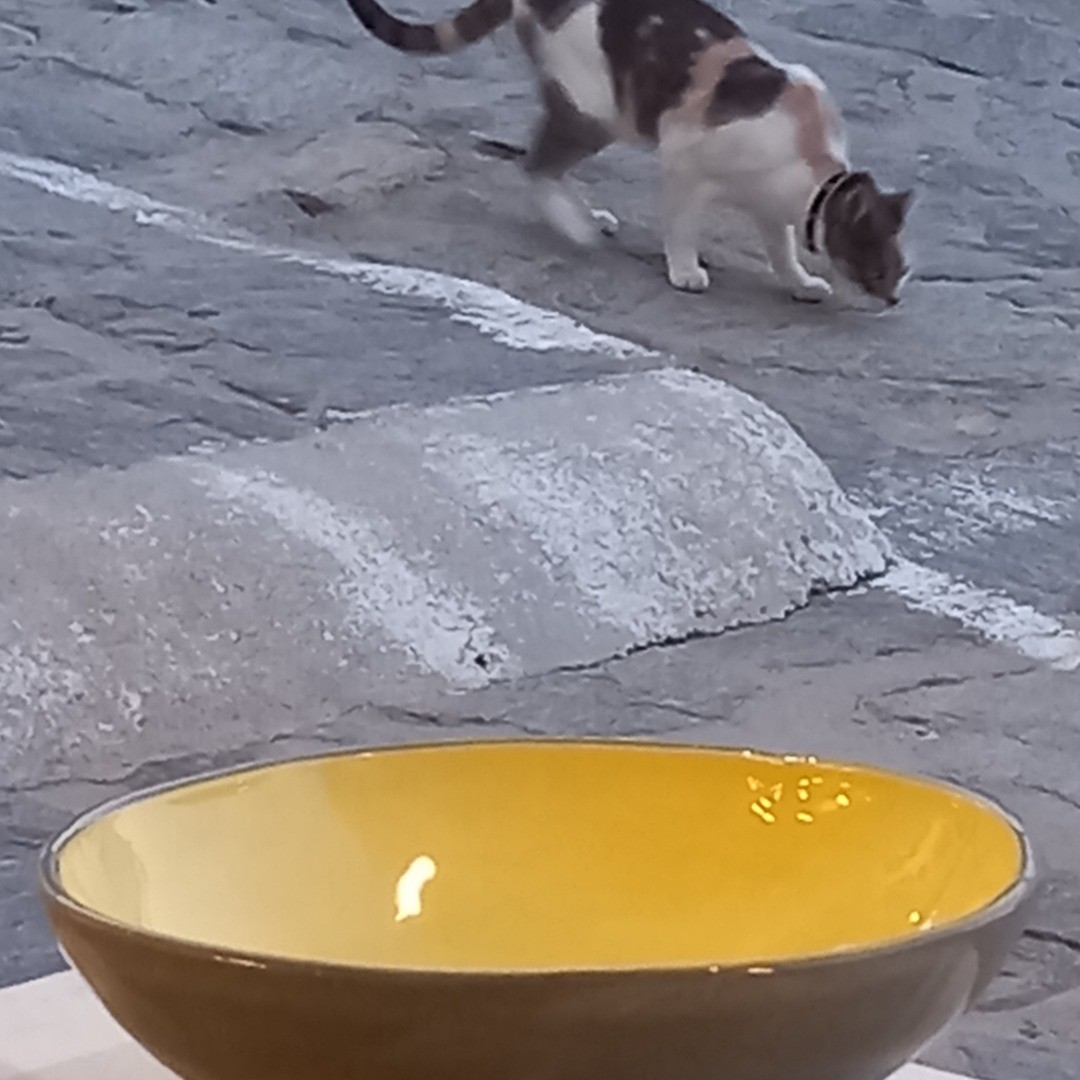 CERAMICA - KYMBE