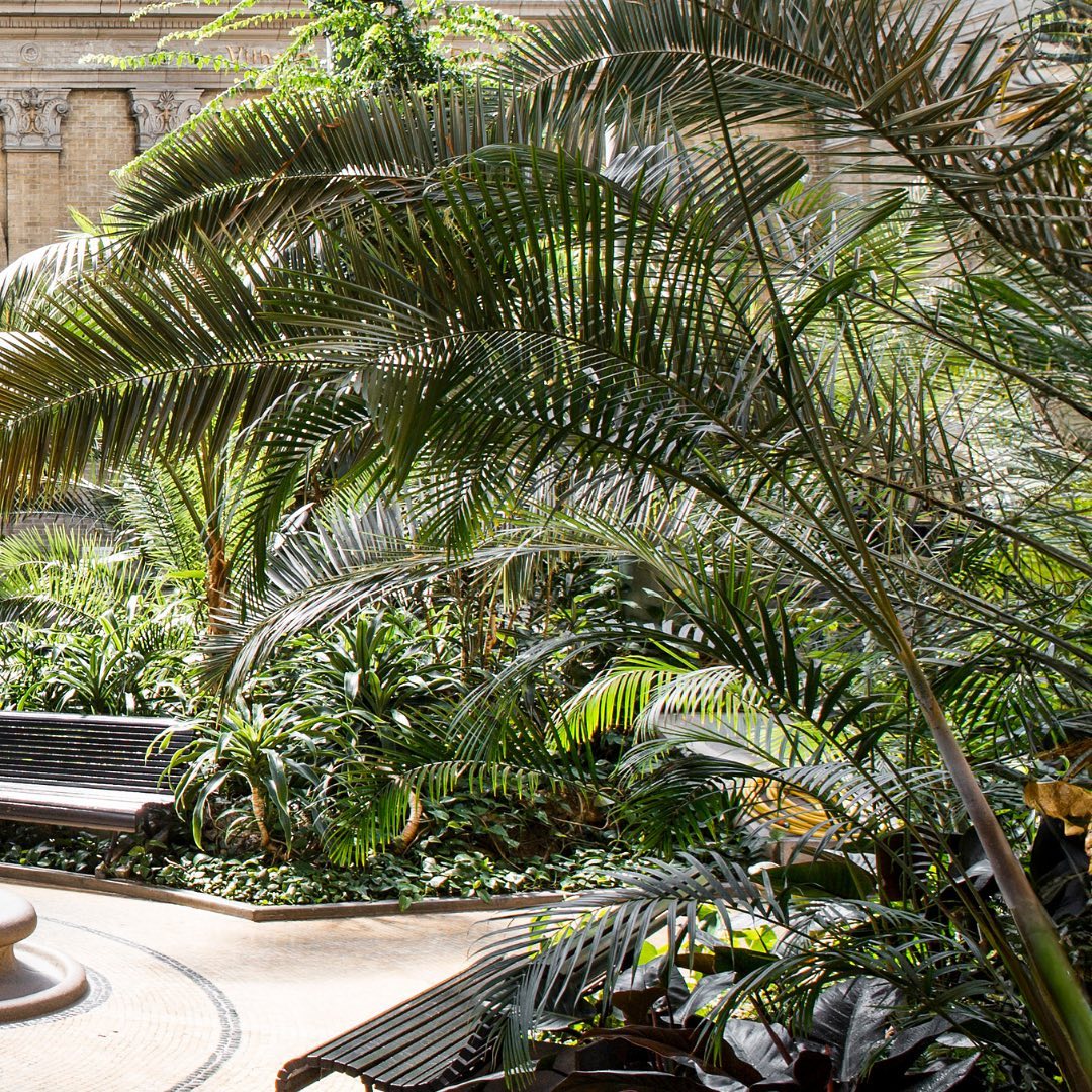 GLYPTOTEKET