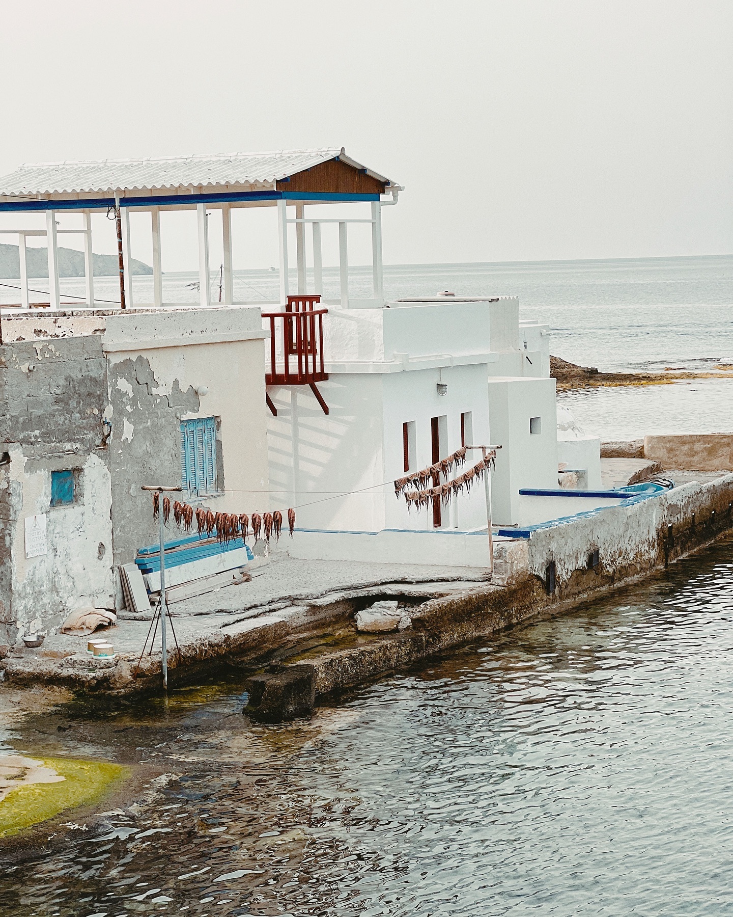 THALASSITRA