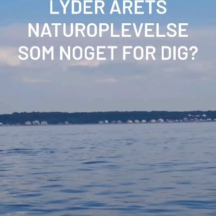ØRESUND AQUARIUM