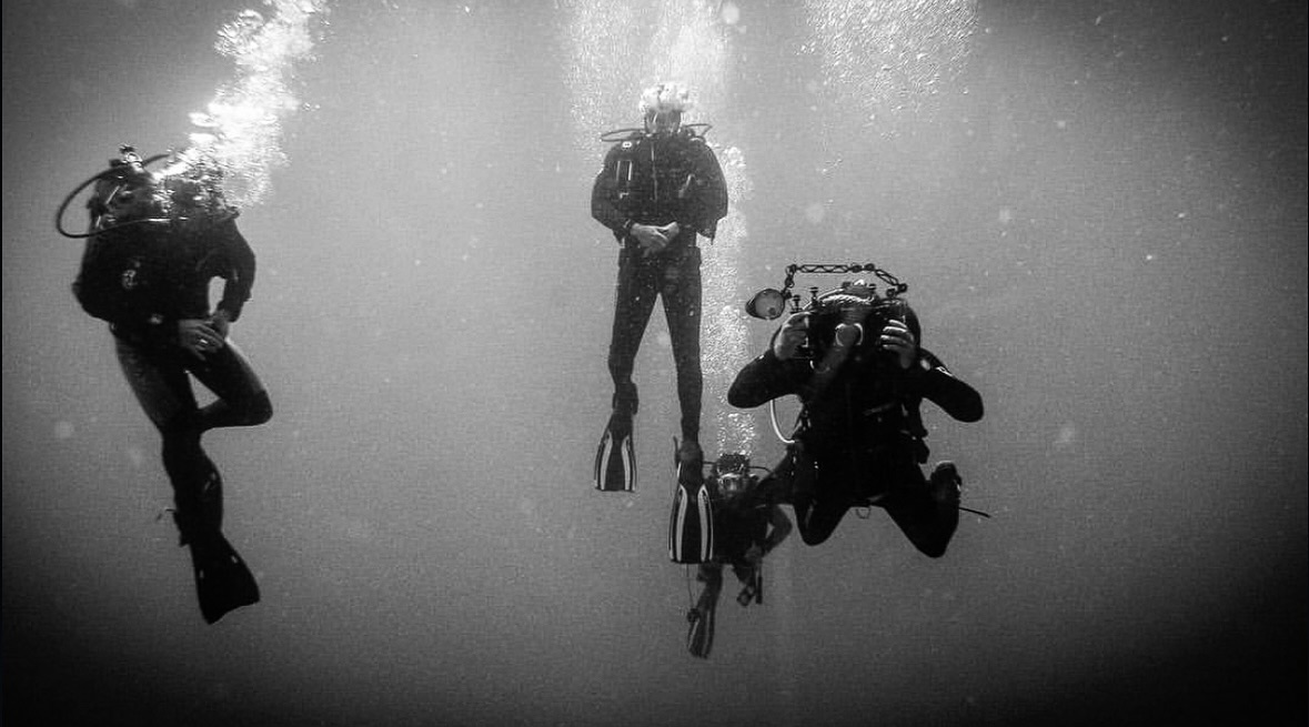 BLUE FIN DIVERS