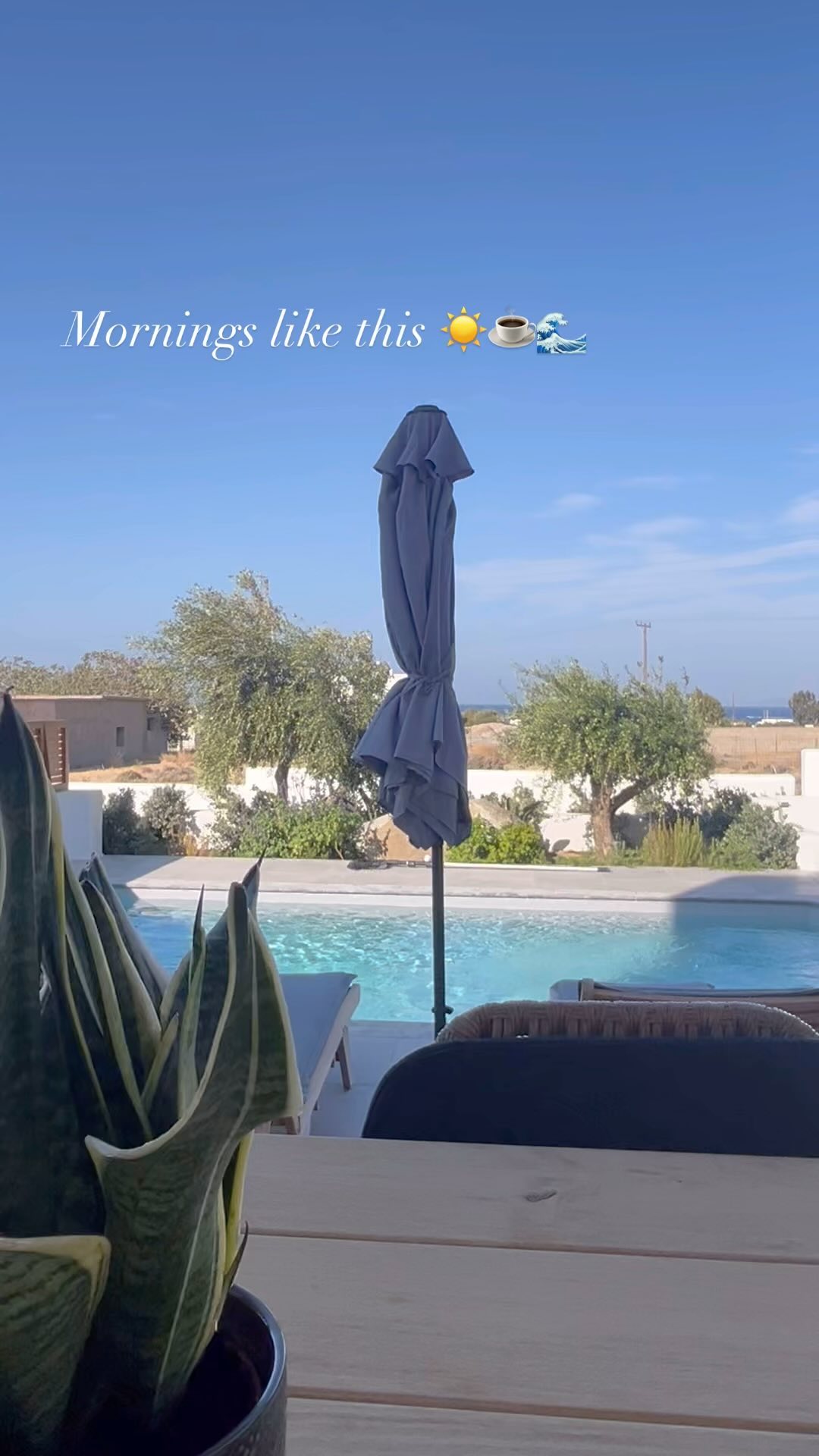 NAXOS ACTIVITIES