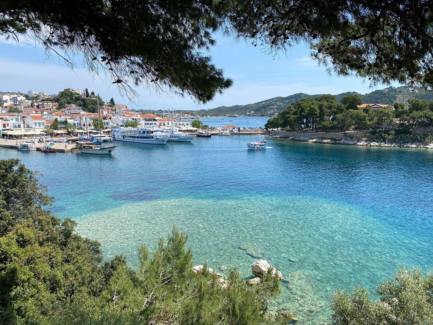 PANORAMA