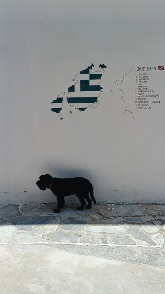 Paros Diving Center