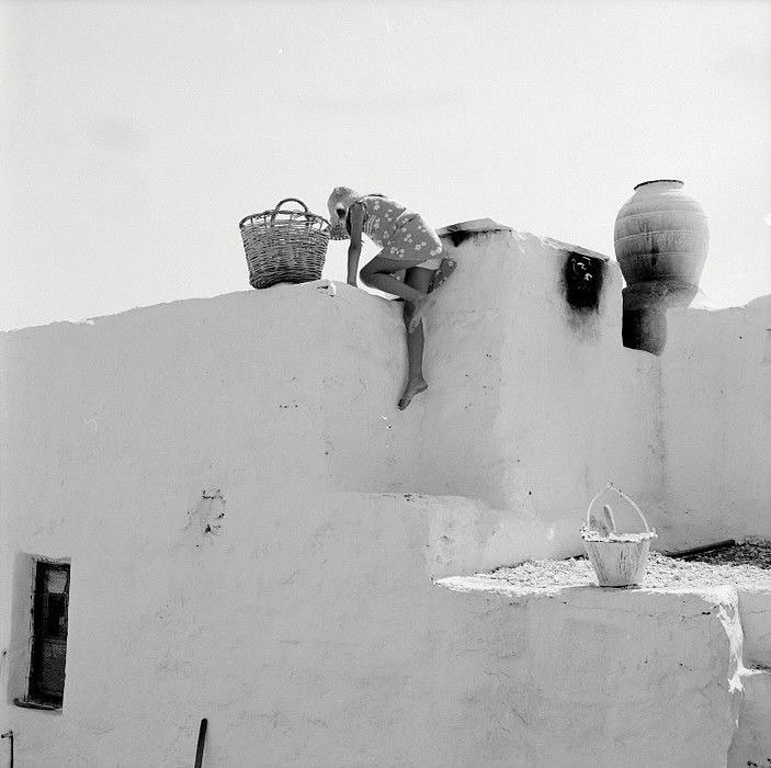 FOTIS