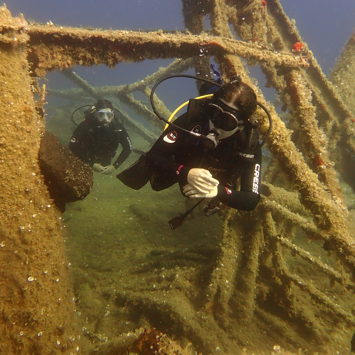 BLUE FIN DIVERS