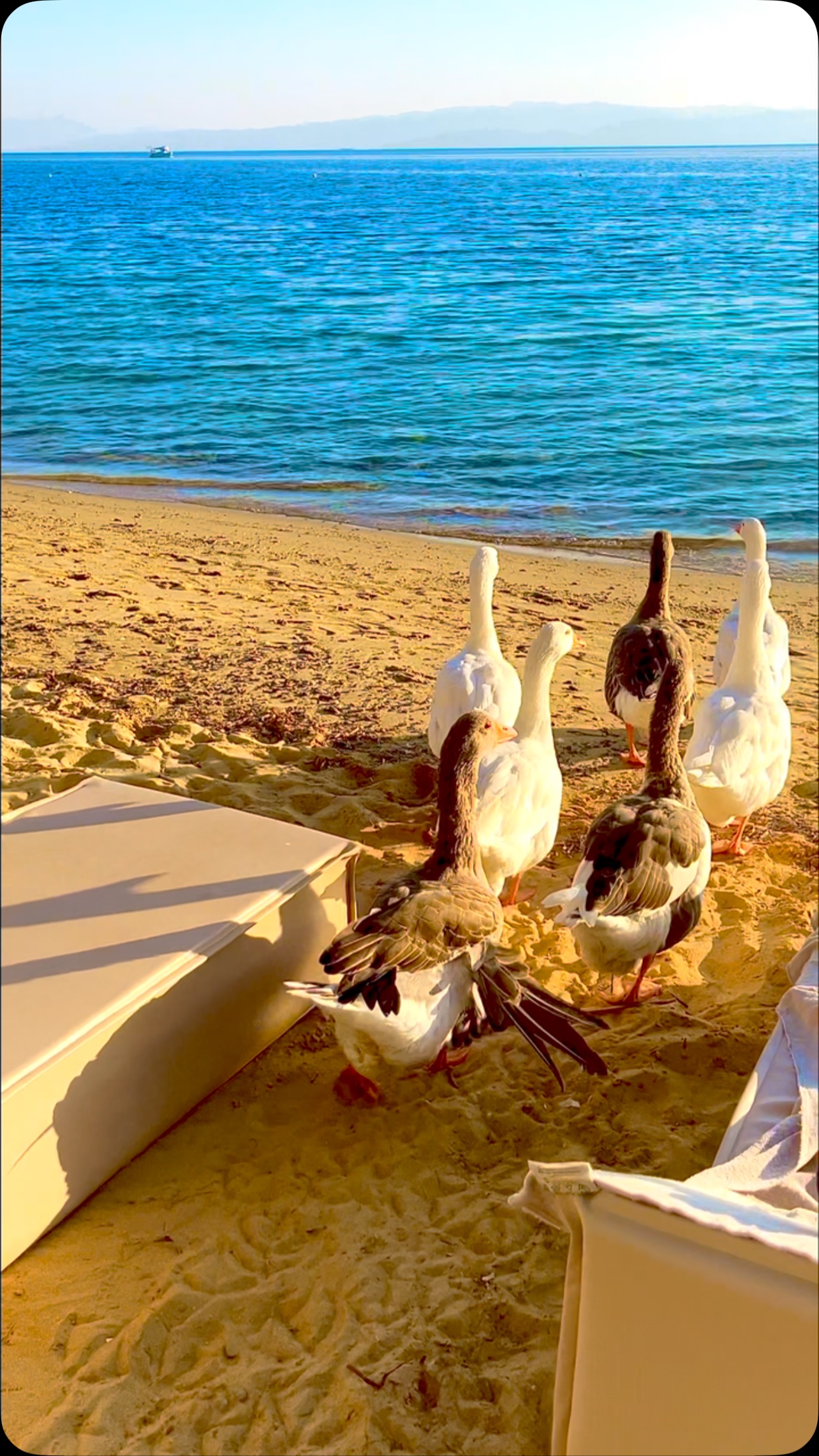 MARATHA BEACH