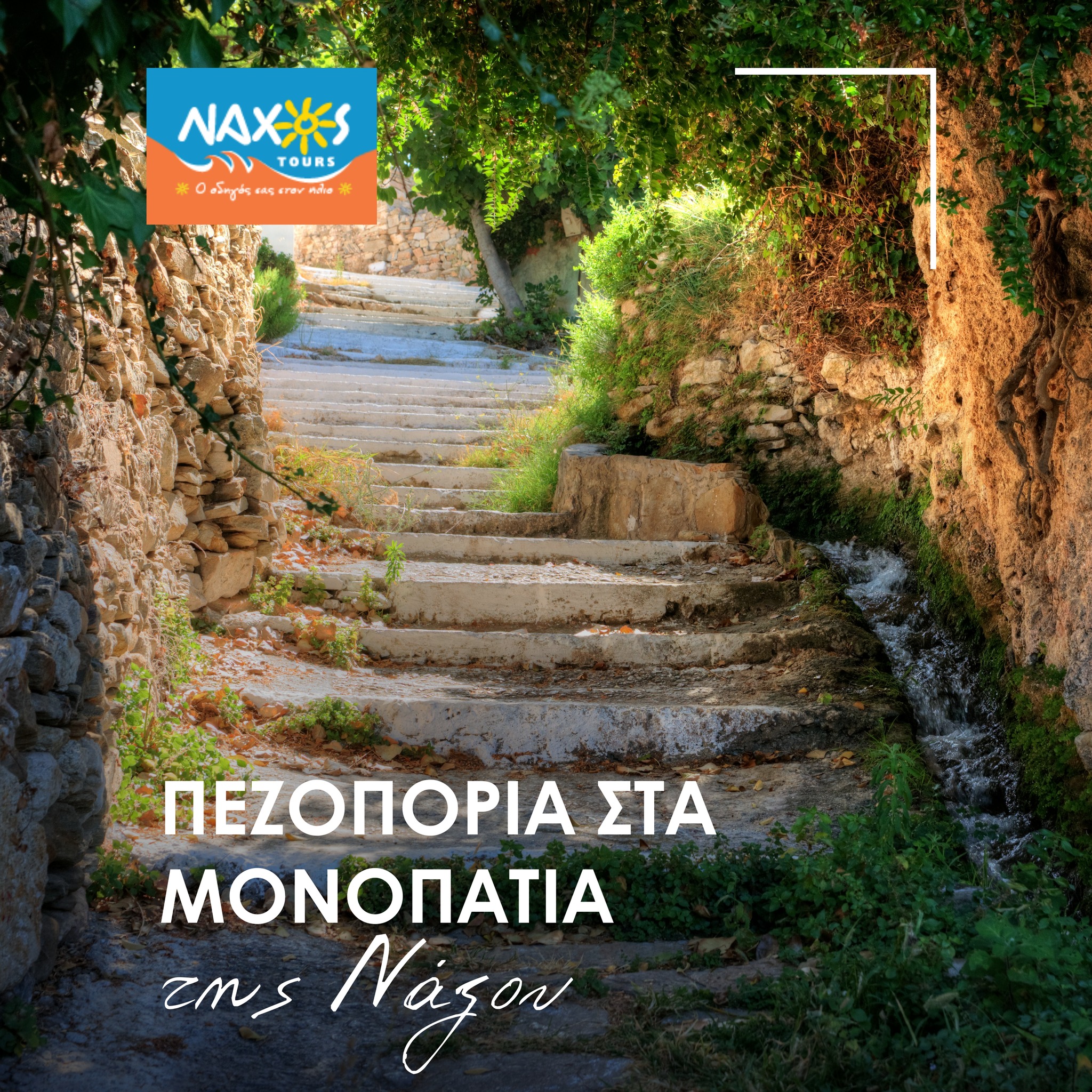 NAXOS TOURS