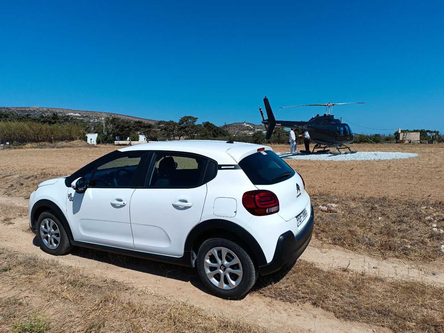 Loukis Rentals Port
