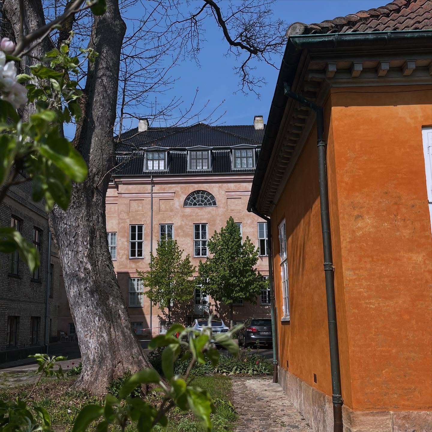 MEDICAL MUSEUM