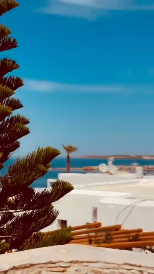Paliomylos