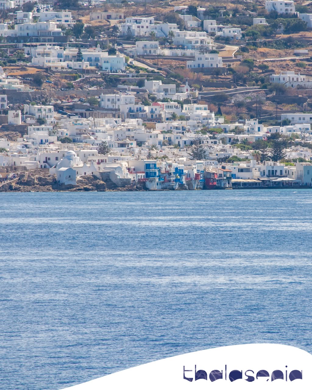 Thalasenia Cruises