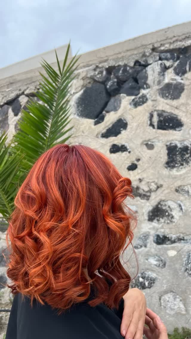 MARIA HAIR DRESSERS