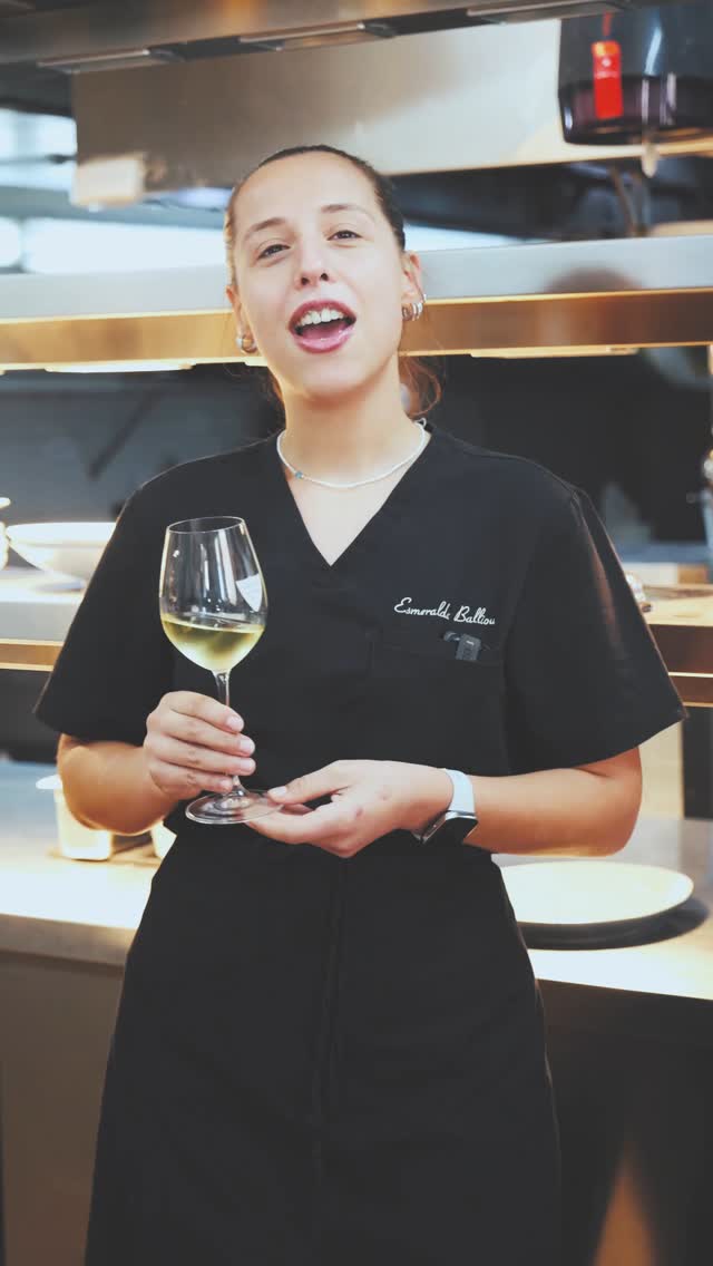 SANTO WINES