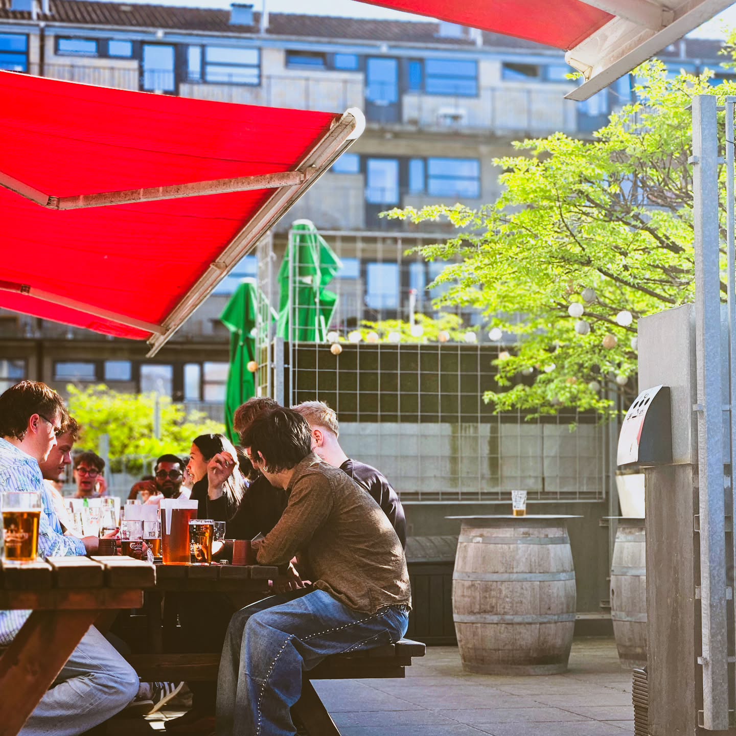 GENERATOR - PETANQUE & SHUFFLEBOARD BAR