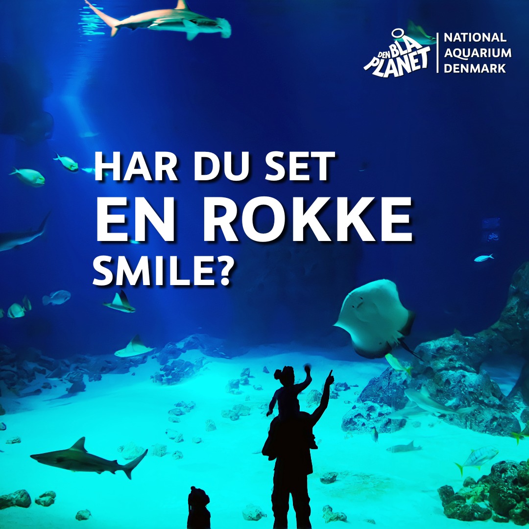 DEN BLÅ PLANET