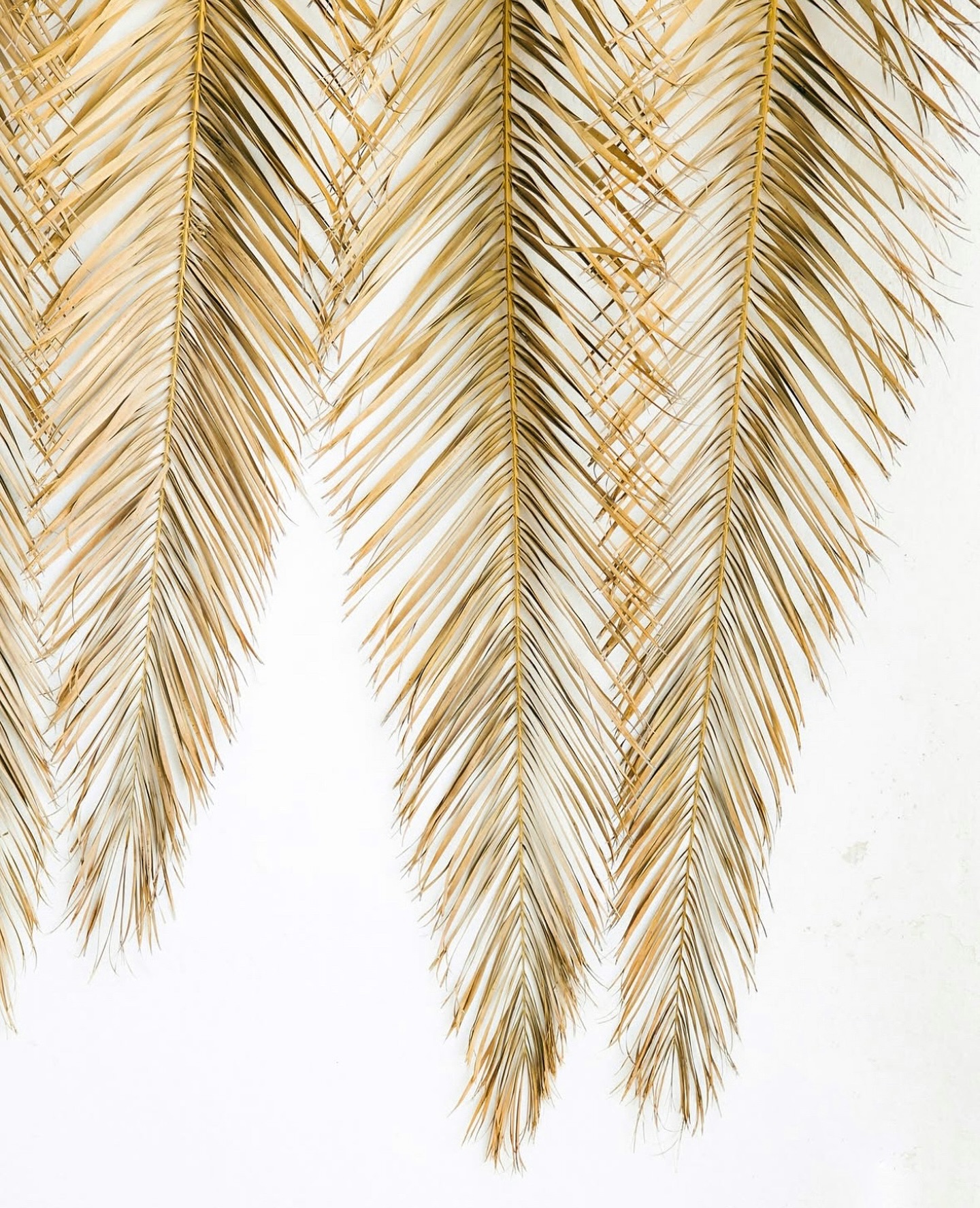 ALENIA Jewellery