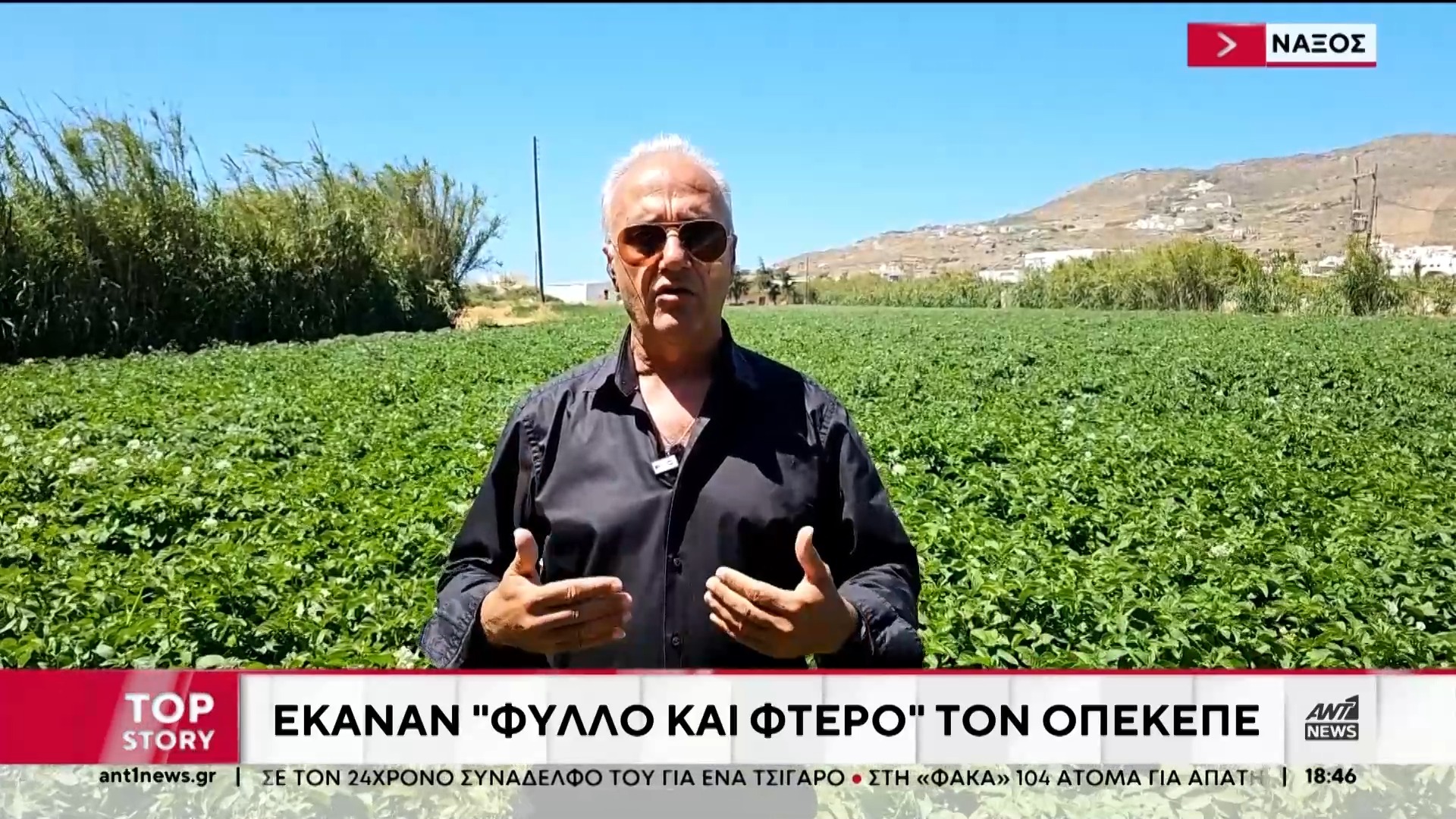 AGRICULTURAL UNION OF NAXOS