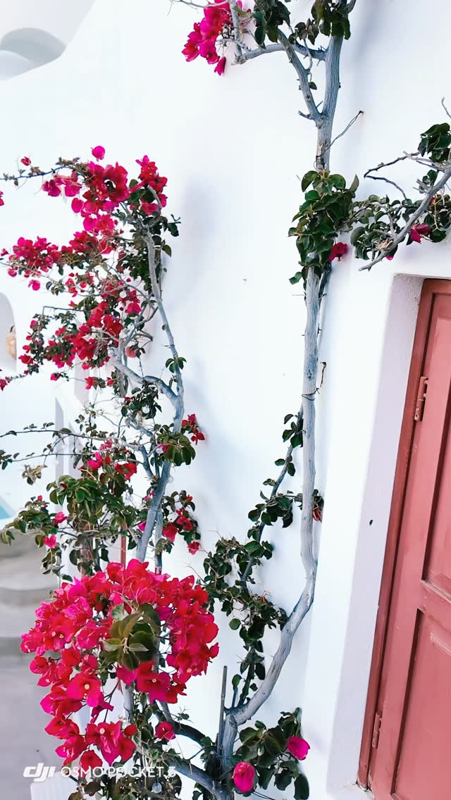 OIA MARE VILLAS
