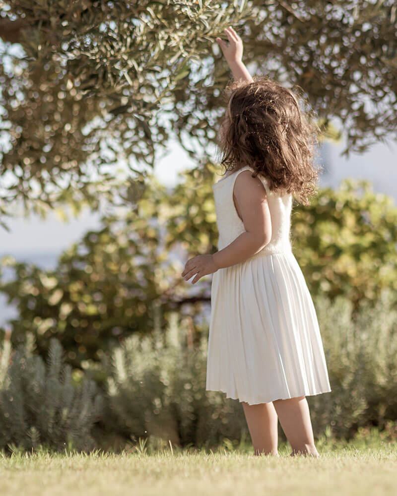 NAXIAN COLLECTION