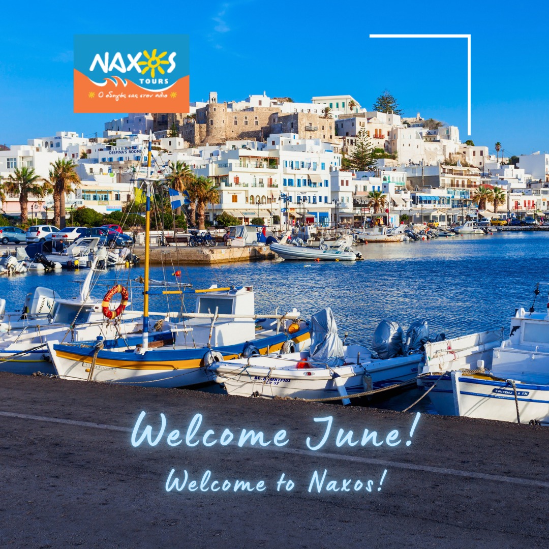 NAXOS TOURS