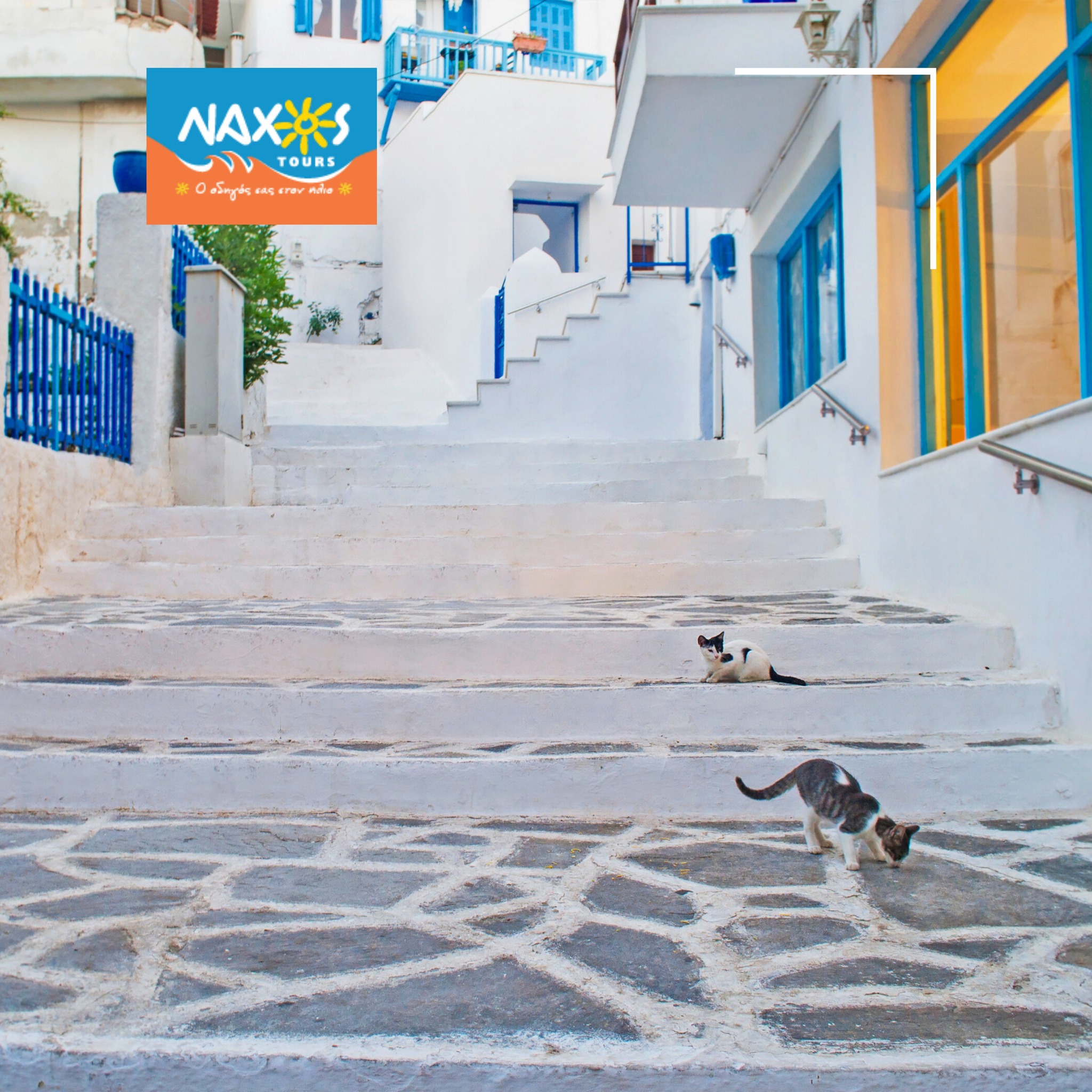 NAXOS TOURS