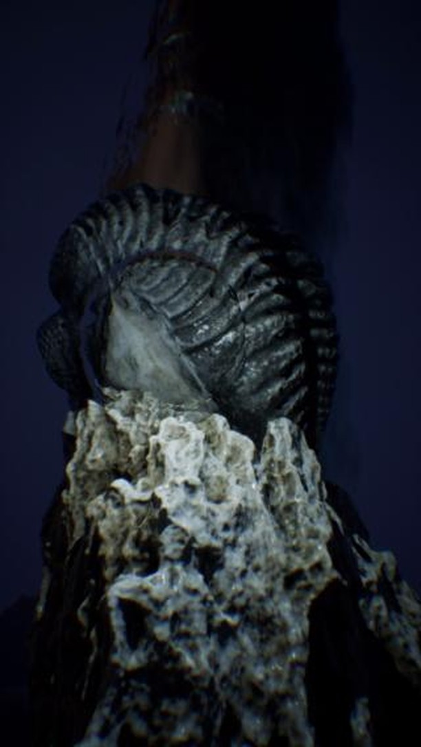 CISTERNERNE