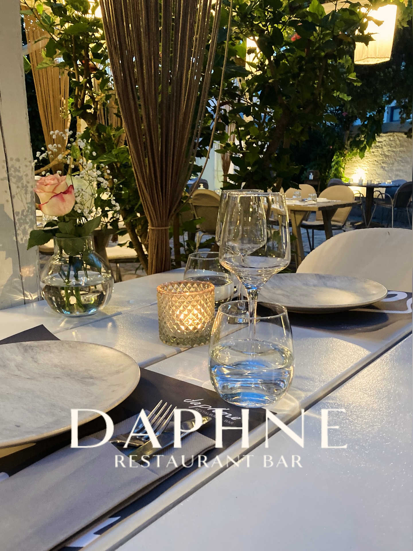 Daphne