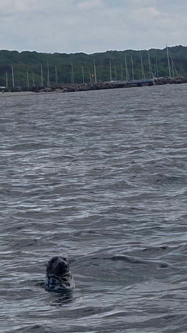 ØRESUND AQUARIUM