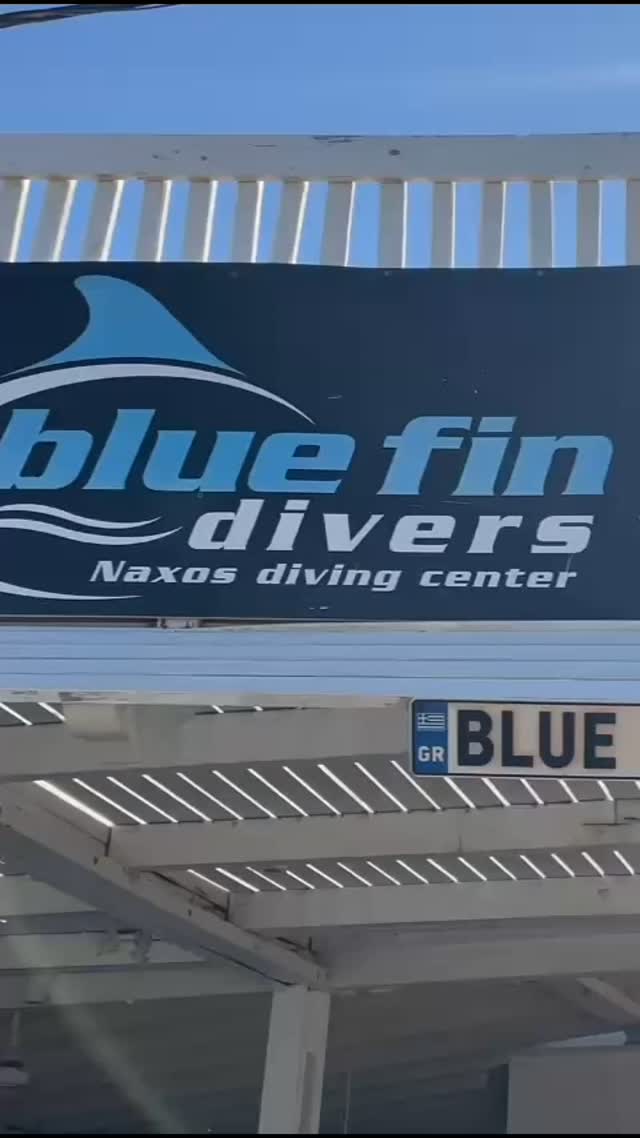 BLUE FIN DIVERS