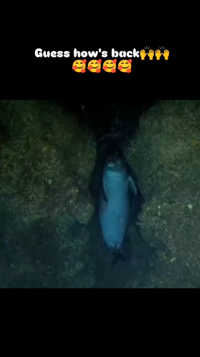 Paros Diving Center