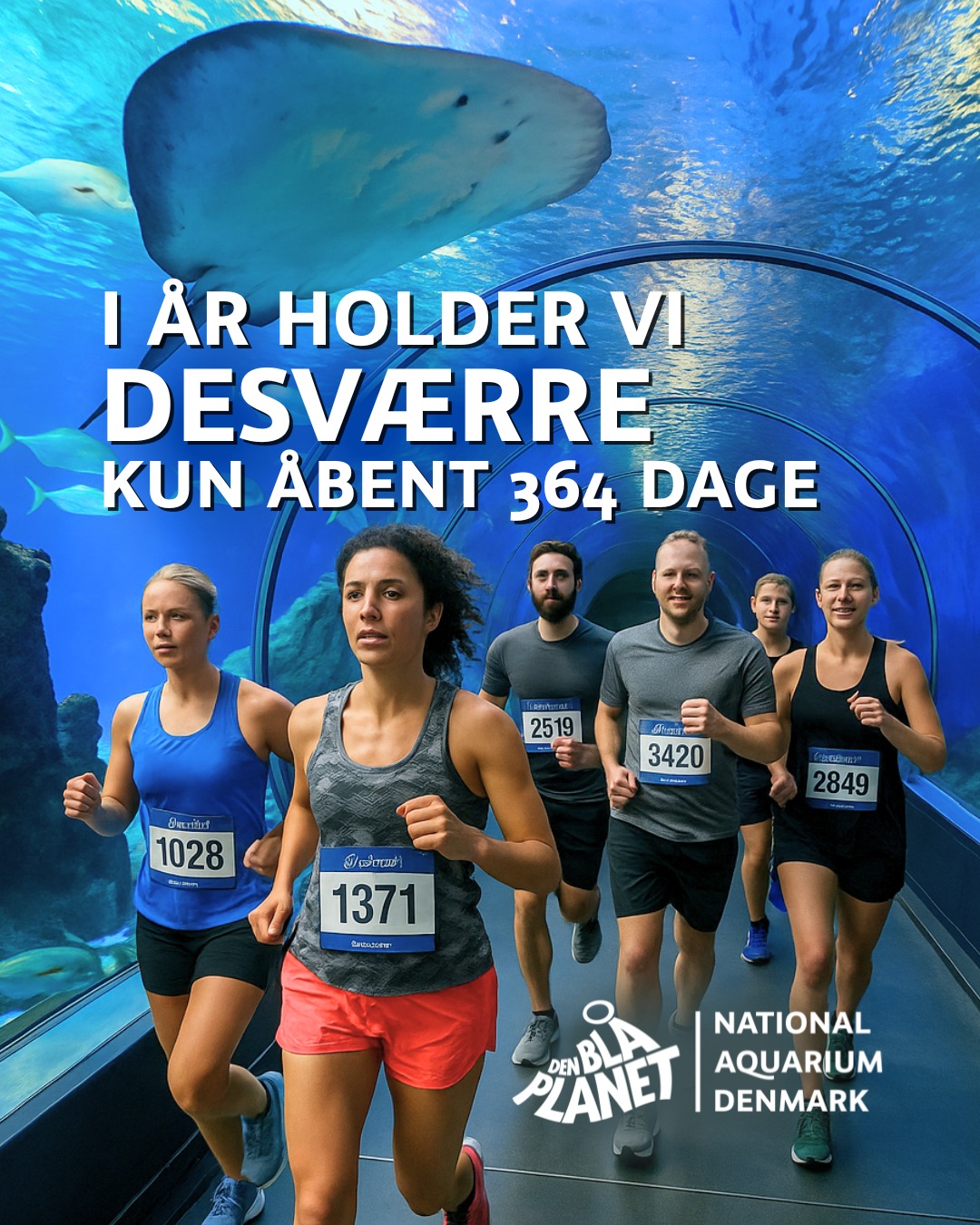 DEN BLÅ PLANET