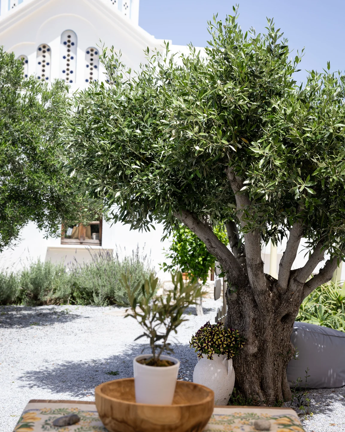 EGGARES OLIVE PRESS