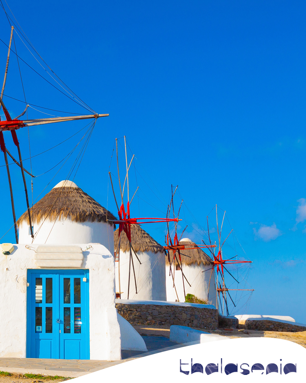 Thalasenia Cruises