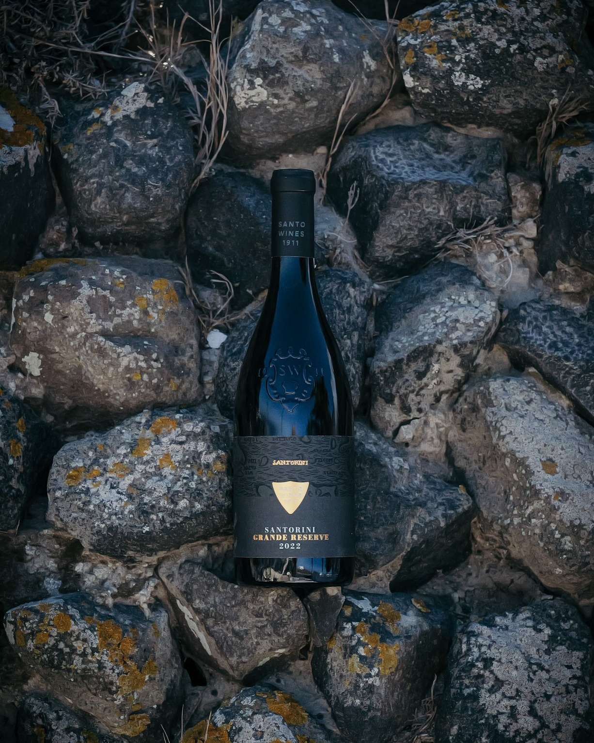 SANTO WINES