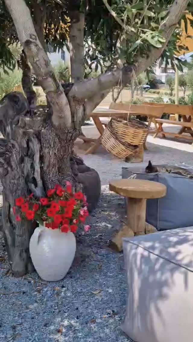 EGGARES OLIVE PRESS