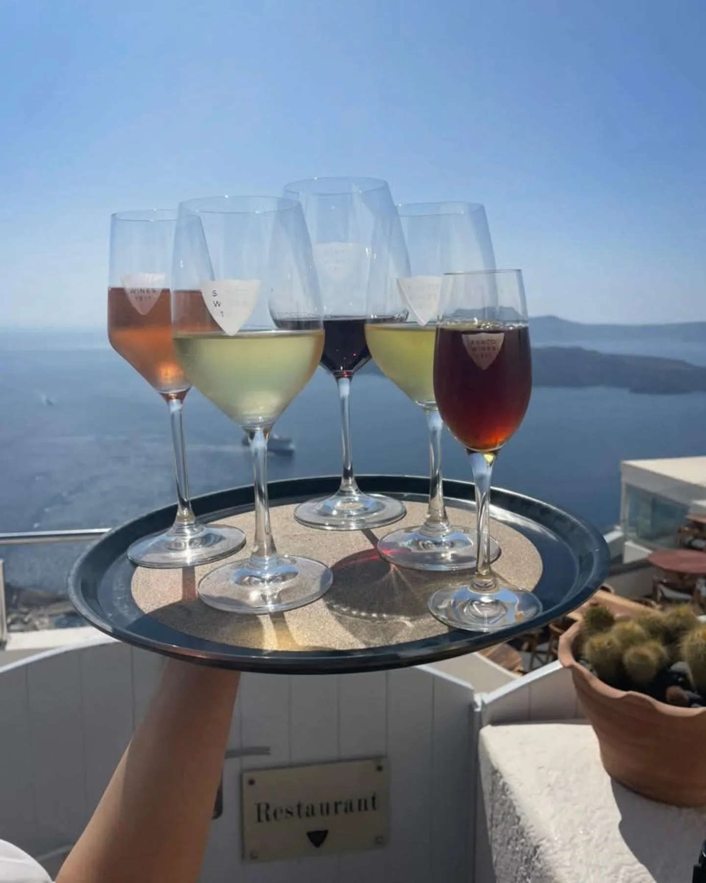 SANTO WINES